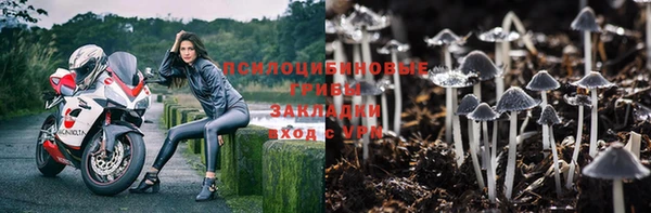 эйфоретик Абаза