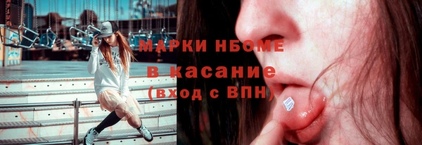 гидра Михайловка