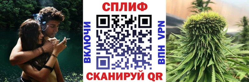 Бошки Шишки семена  Фурманов 